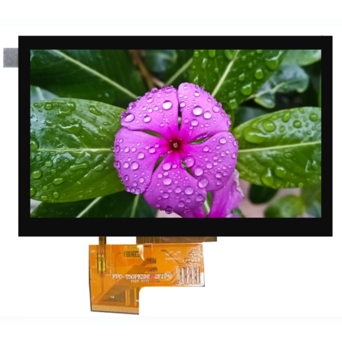 Custom Meridia lcd screen lcd 7 segment 5 inch LCD Display Module TFT IPS MIPI lvds spi port LCM for Cellphone mobile laptops