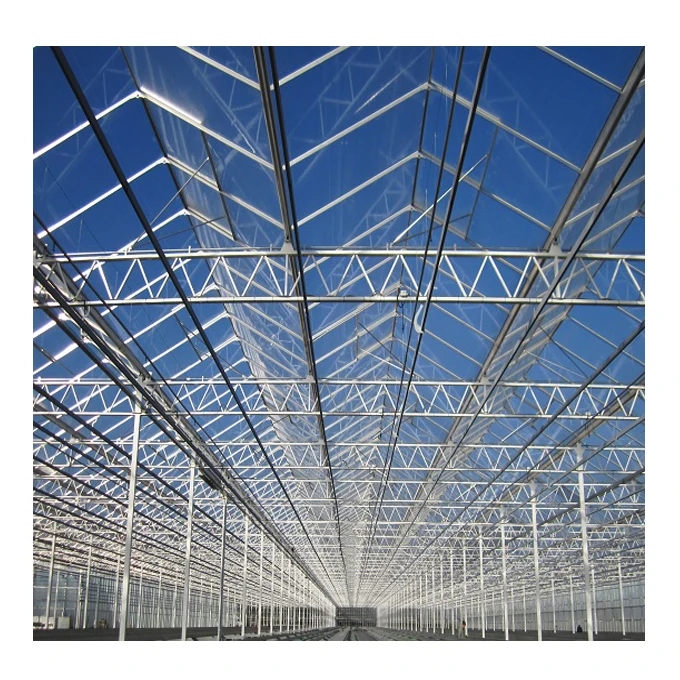 Умные стеклянные теплицы для сельского хозяйства с вертикальной гидропонной системой