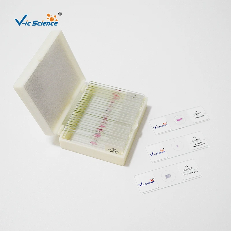 Teaching resources and teaching equipment Schools and medical hot sellers chromosome microscope preparation slide