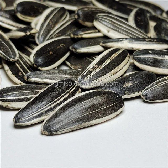 black striped sunflower seeds kernel 363 361 601 5009 3638 3939 1121