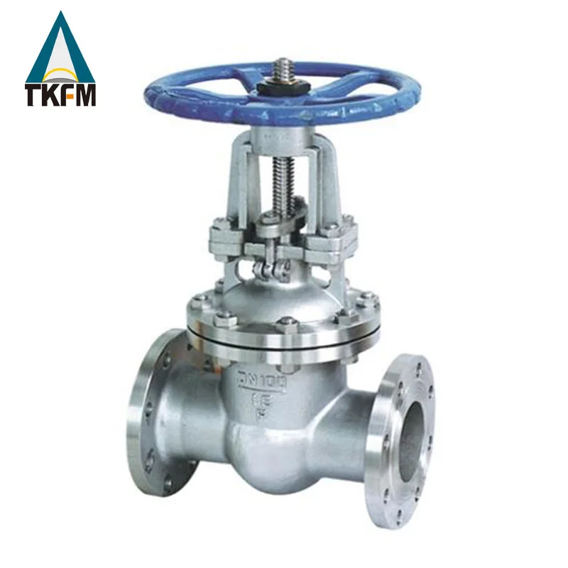 ANSI Class 150-900 Pn2-Pn16 Manual Stainless Steel Flanged Gate Valve For Industry