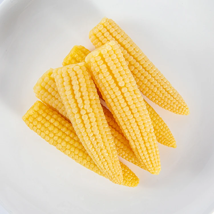 New season canned chinese yellow baby corn in tin in brine  low price & high quality