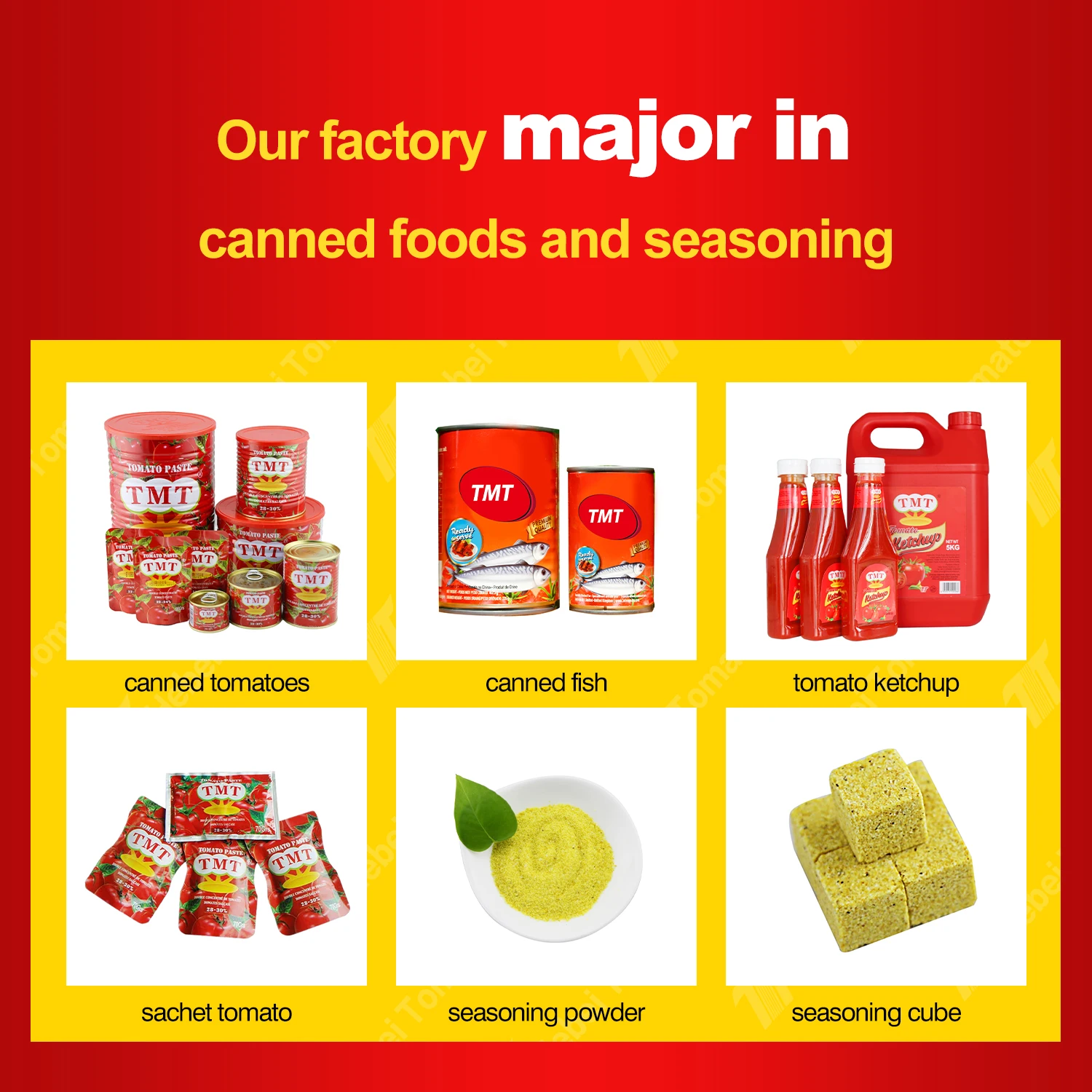 56g tomato paste in standing sachet 100% tomato without additives
