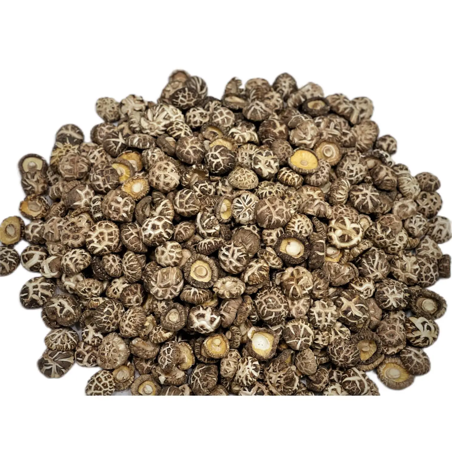 Factory Direct Customized Sizes Whole Raw Processed Dried Shiitake Flower Mushroom for Plant Eating Direct from the Source