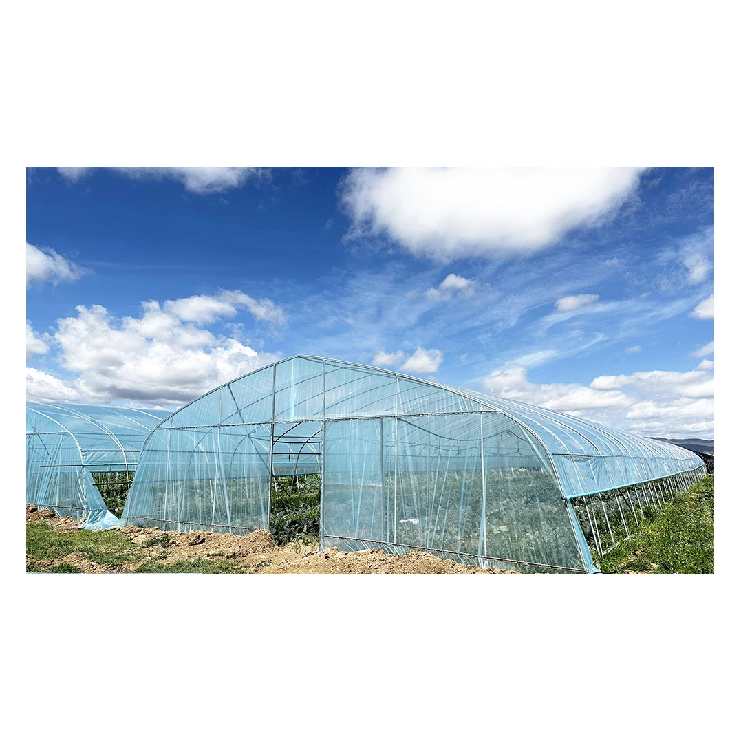 Baolida Plastic Film Green House Metal Hotehosue Frame Tunnel With Plastic Covering