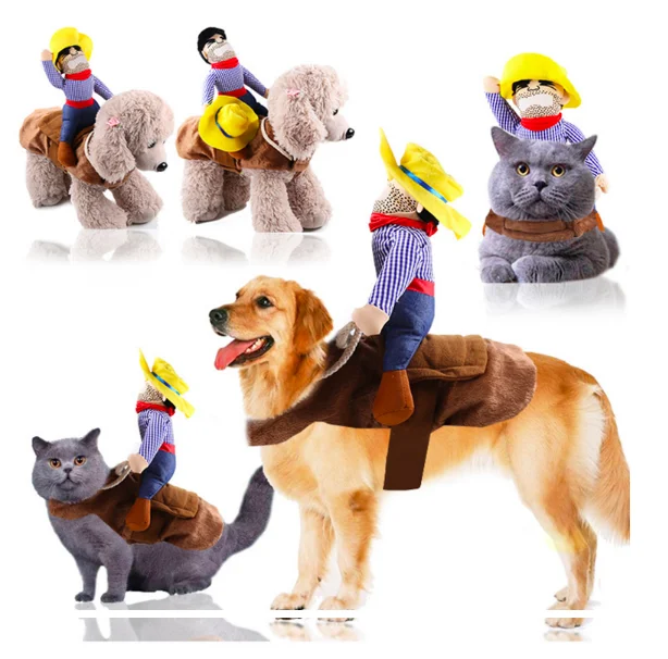 Dog clothes cat pet supplies pet riding equipment dress Halloween funny small medium dog leotard coat clothes role play
