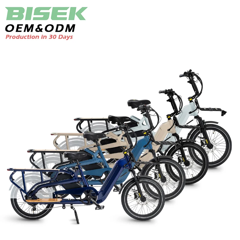 OEM dual battery EN15194 750W long range 20 inch fat tire electric cargo bike for family delivery electric bicycle