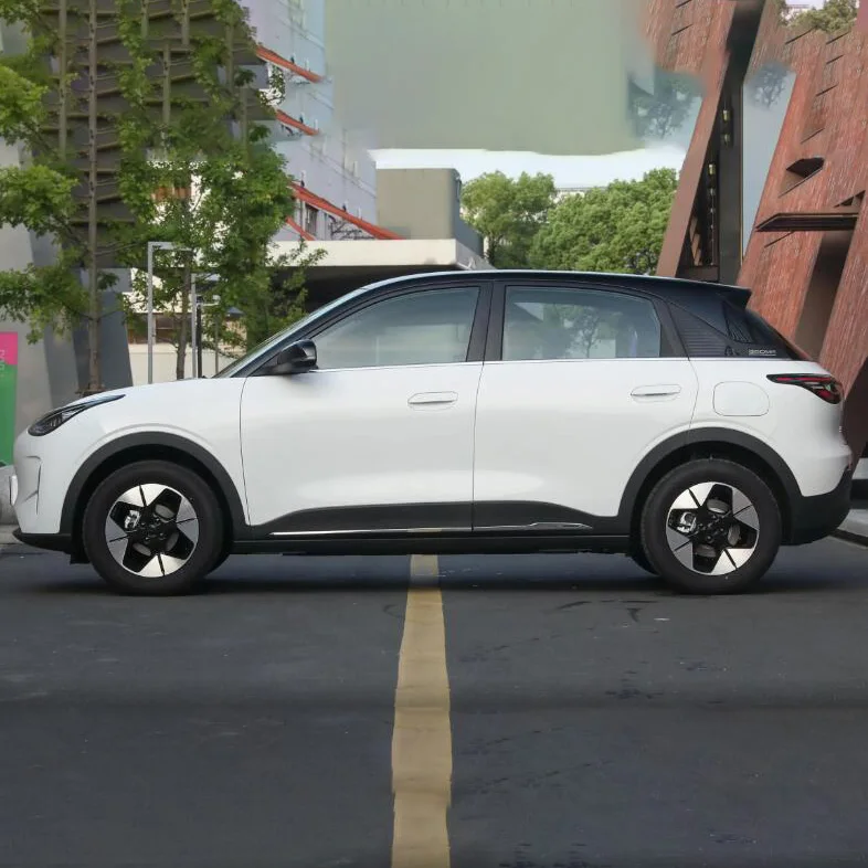 Cheap Price Geely Geome New Pure Electric 2WD Mini Small Adult Auto EV For Sale