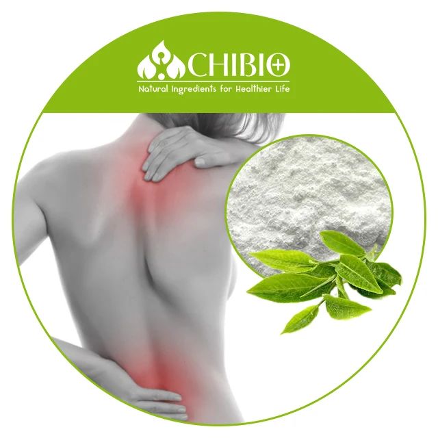 Hot Water Soluble 99% Pure Theacrine Temurin Crystalline Powder for Joint Pain