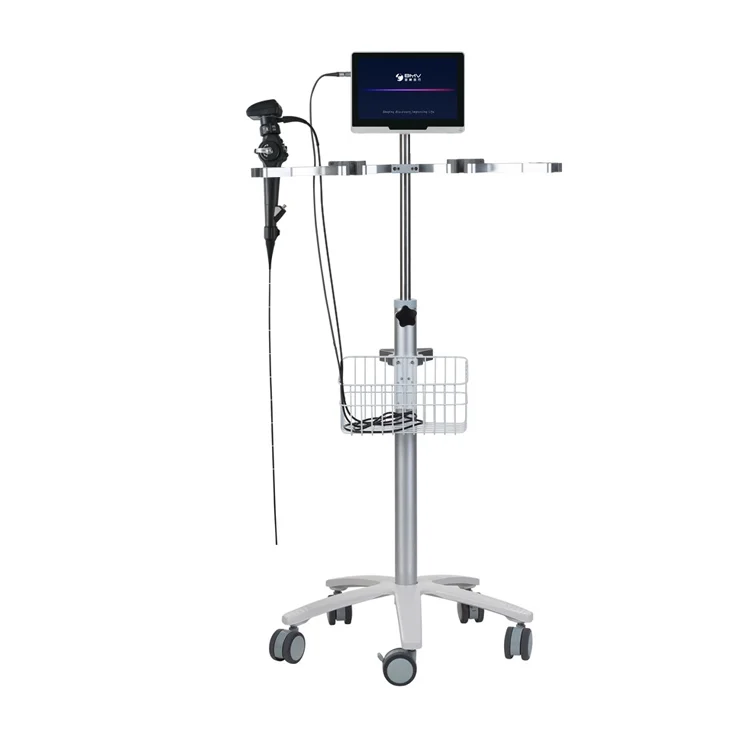 Endoscope Video ENT Endoscope Video Bronchoscopy Cystoscopy Nasopharyngoscope