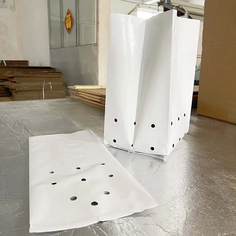 Home Garden Plastic Bag Pot economical small to big custom PE plastic plant growing bag for fruit tree vegetable