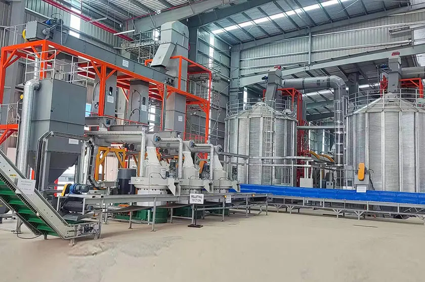 China Professional Turnkey High Config Popular 5Tn 10Tn PLC Control Auto Biomass Construction Wood Waste Pellet Production Line