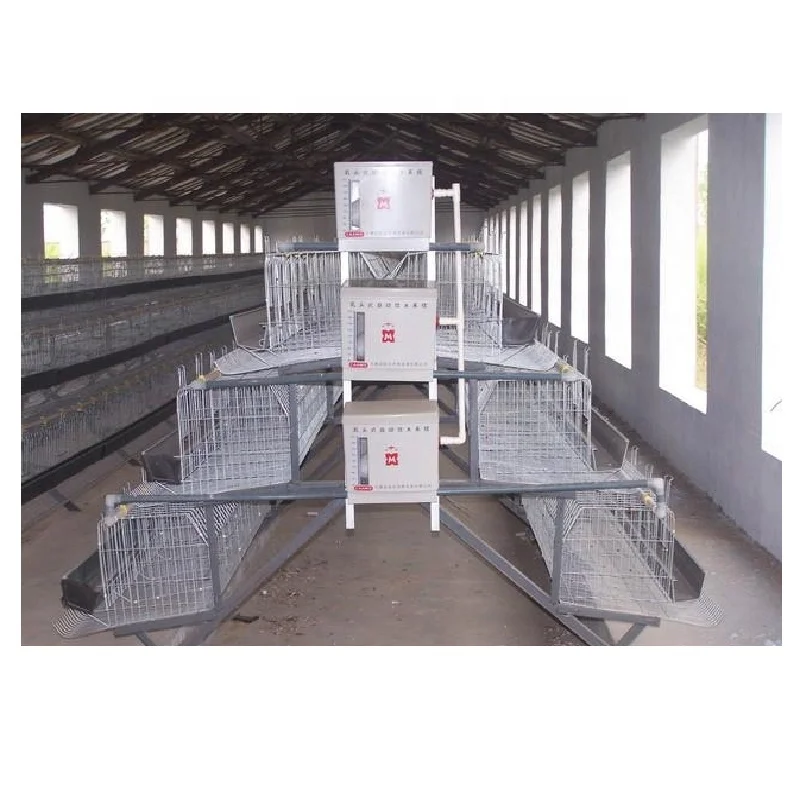 design poultry chicken battery cage