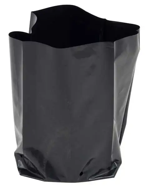 Black Plastic PE Nursery Sapling Grow Bag With Drain Holes For Onion Carrot Plants
