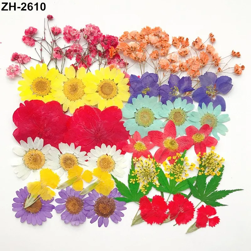 Hot Sale Mixed Multiple Handmade Colorful Assorted Wholesaleeen DIY Floral Arrangmt Real Natural Dried Pressed Flowers