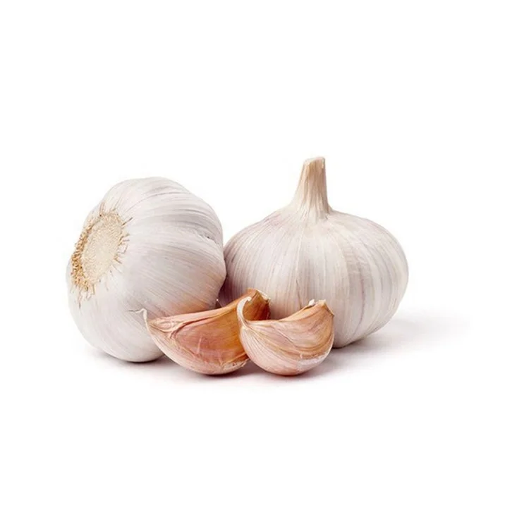 Pure Steam Distilled Natural Garlic Oil for Health Care