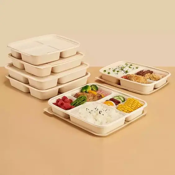New Product 2 Compartment Rectangular Food Container Tiffin Packaging Box