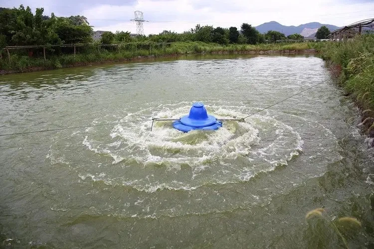 1.5KW 2HP FUTI aquaculture equipment FLOATING WAVE SURGE MAKER AERATOR MIXER DEEPWATER