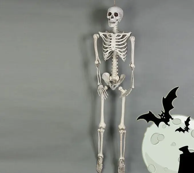 Halloween Scary Decorations 170Cm Full Body Human Skeleton Movable Joints Plastic Halloween Skeleton