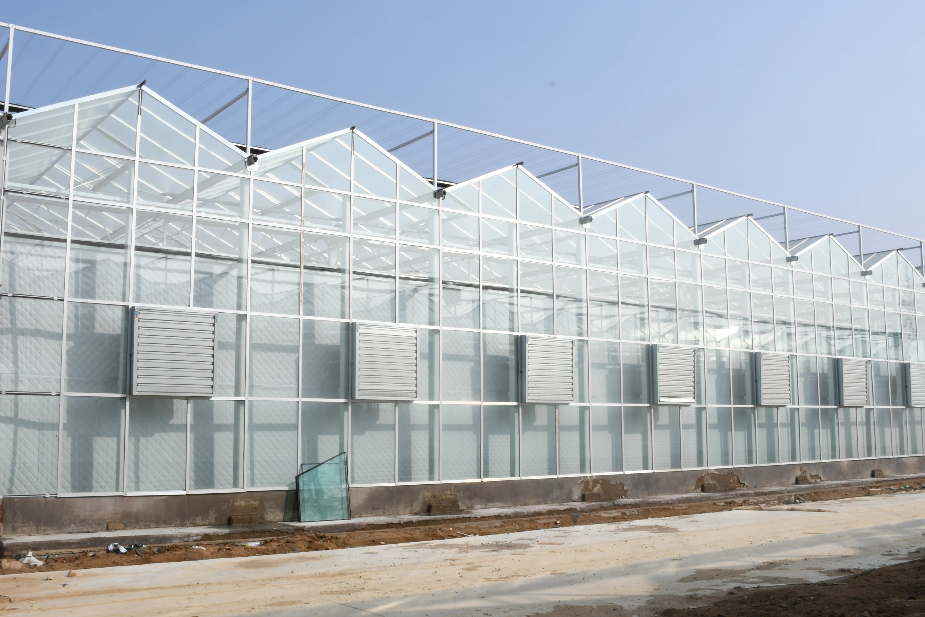 Large Commercial Greenhouses Agriculture Greenhouse