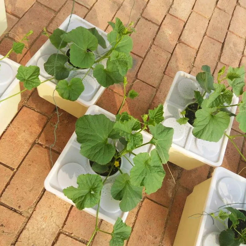 Square Plastic Flower Pot  Nft Channel Vertical Hydroponics Tomato Hydroponic Strawberry Dutch Bucket Indoor