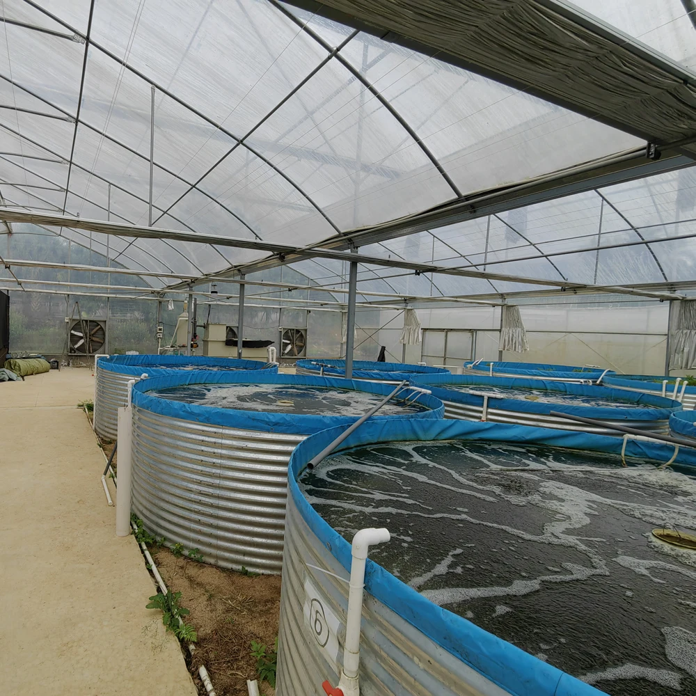 Indoor fish growing system recirculating shrimp farm