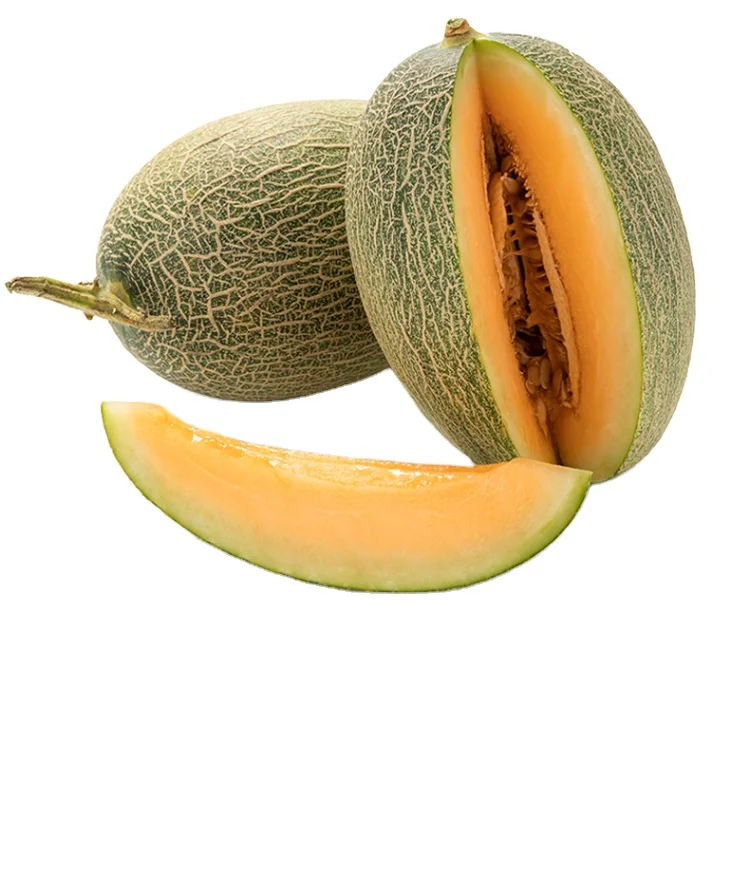 
Xinjiang Manufacturer price top guality green skin high suger fresh hami melon 