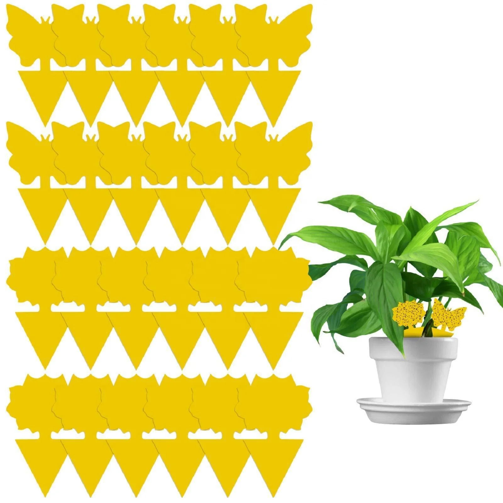 
A0550 Fruit Fly Traps Fungus Gnat Traps Yellow Sticky Bug Traps Non-toxic and Odorless for Indoor Outdoor Use Protect 