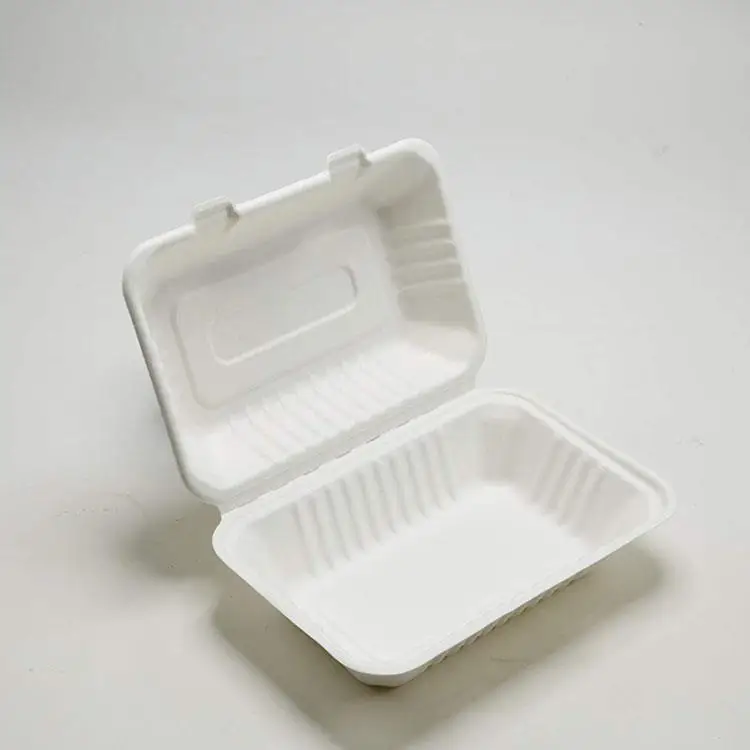 disposable Pulp paper Takeaway board lunch Food box Container