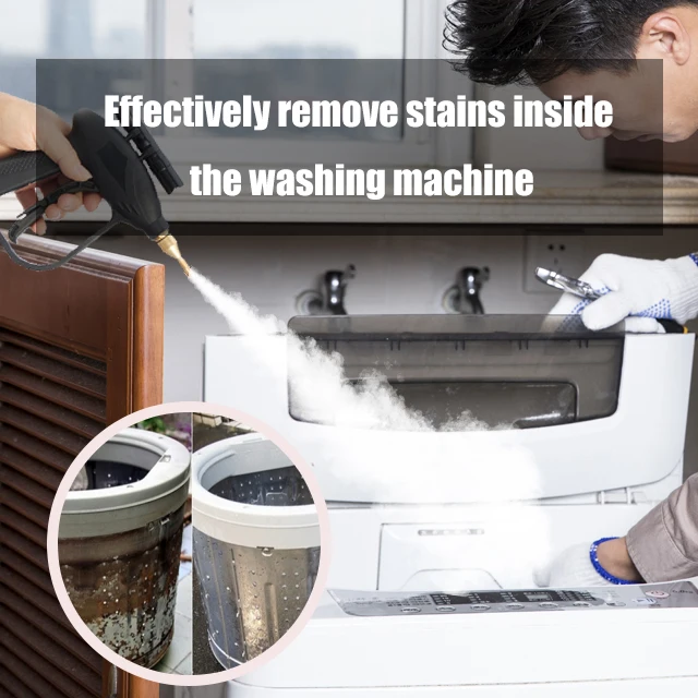 Multi-purpose high pressure adjustable dry and wet steam car wash portable steam cleaner