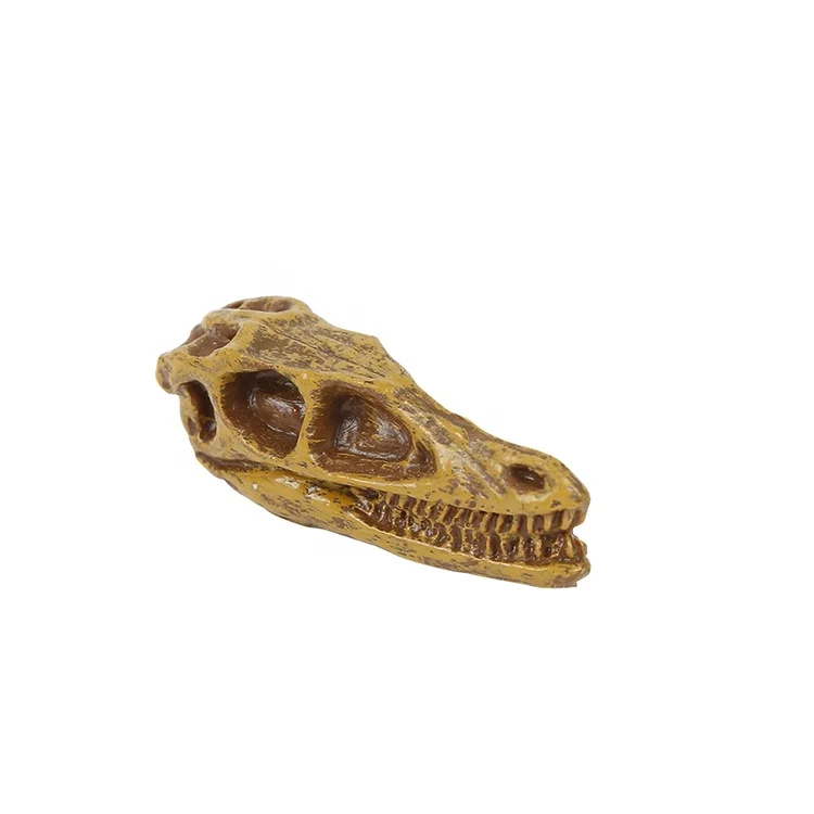 Factory Wholesale High Quality Educational Kids Realistic Dinosaur Skull Figurines Exquisite Dinosaur Skull Toys Decorations