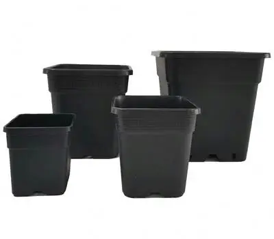 Black Thicken Plastic Rosa Chinensis Gallon Plant Pot Flowerpot With Drainage Hole And Tray