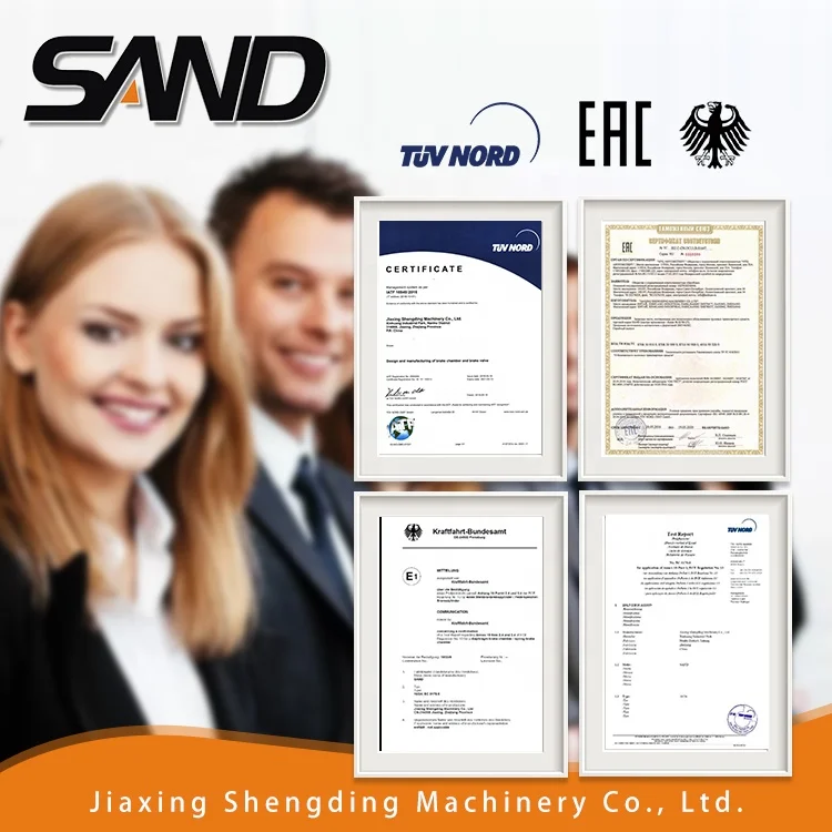 Europeanair brake pads semi truck parts truck disc 18/24 brake chamber for trailer