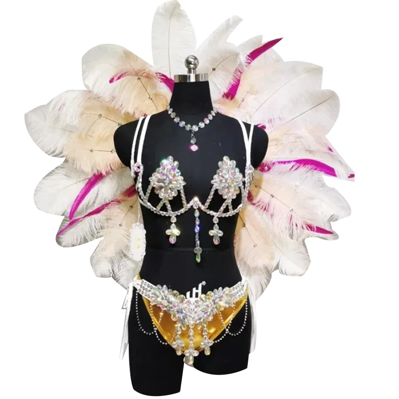 Top Quality Handmade Samba Rio Carnival Wire Bra+Panty+Feather Headdress With Stone Sexy Belly Dancing Costume CF002