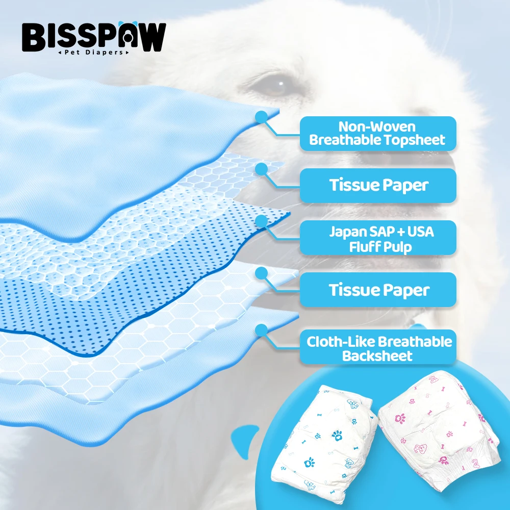 Pet Diaper M Size Disposable Dog Diaper Physiological Female Dog Nappy Technology Good Price Pet Diaper Dog Training Pee