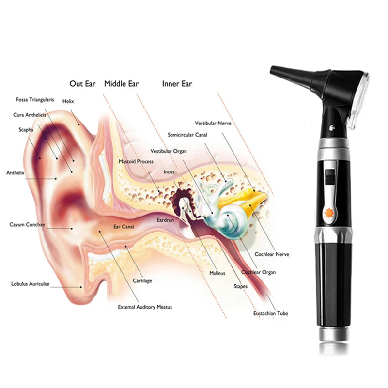 HONSUN HS-OT10J ENT Otoscope Set LED Fibre Optic Otoscope With Rechargeable Handle