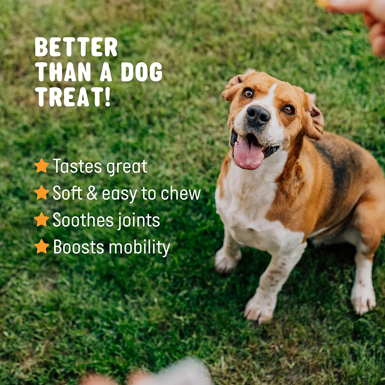 Glucosamine for Dogs Soft Chews - Hip and Joint Supplement for Dogs with Chondroitin, Turmeric & MSM