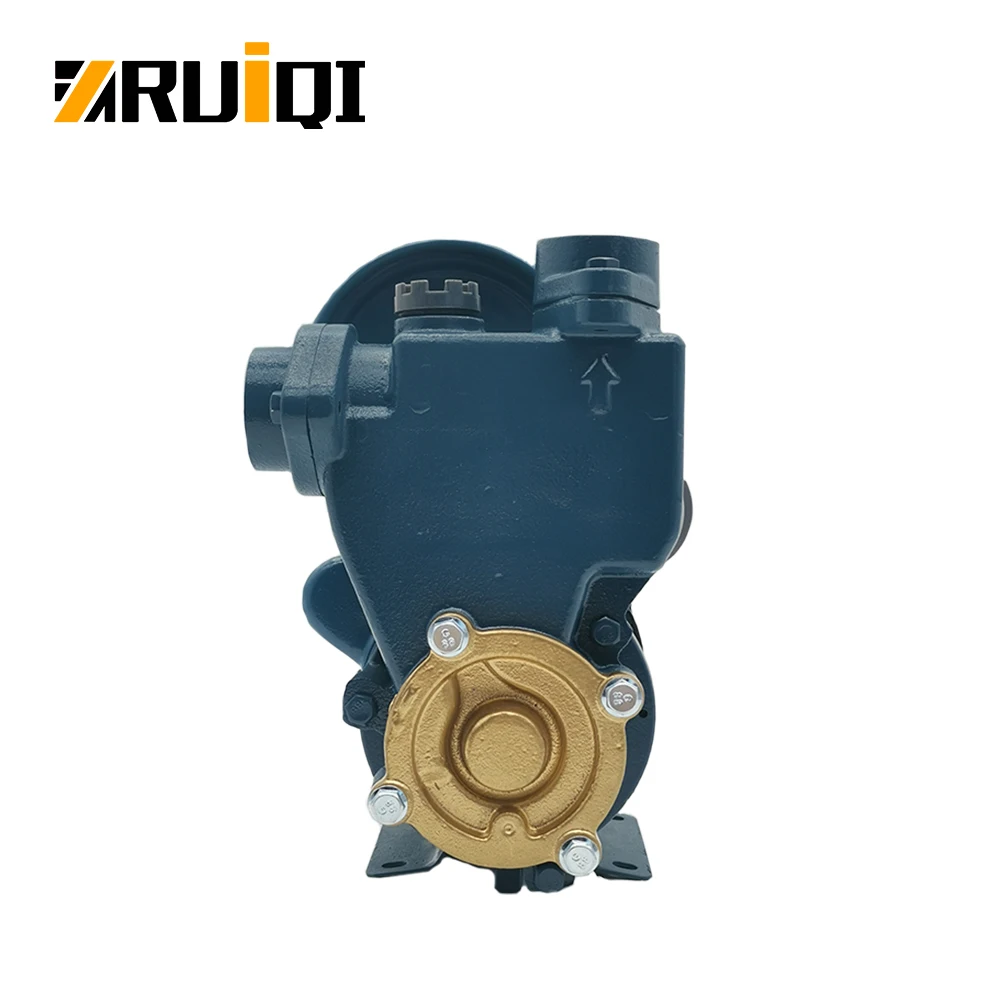 RUIQI Factory Price  Hot sale Automatic Self Priming Pump with 2L Pressure Tank 0.5HP Automatic Well Pump Booster system