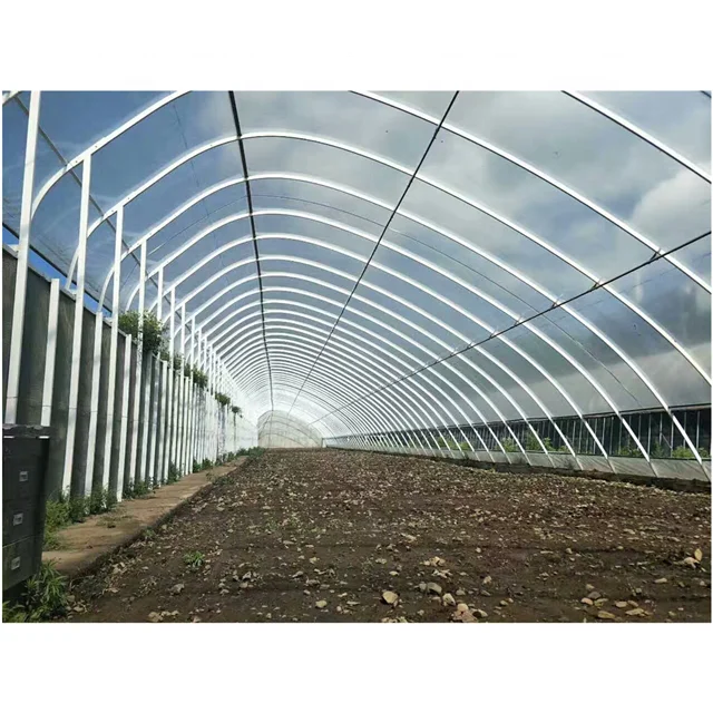 Muchen brand professional manufacturer agricultural polycarbonate solar greenhouses
