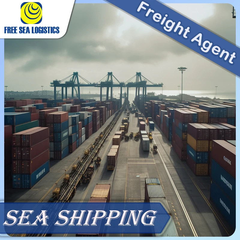 Professional logistics China to Argentina air/sea freight forwarder  door-to-door service DDP
