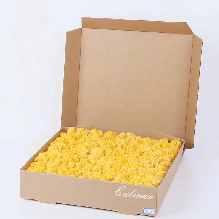 musgo estabilizado lichen moss Preserved Moss Panel Preserved for Decoration