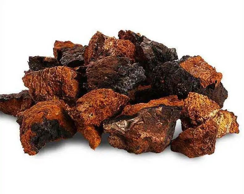 High pure organic chaga polysaccharide powder siberian water soluable  chaga mushroom extract