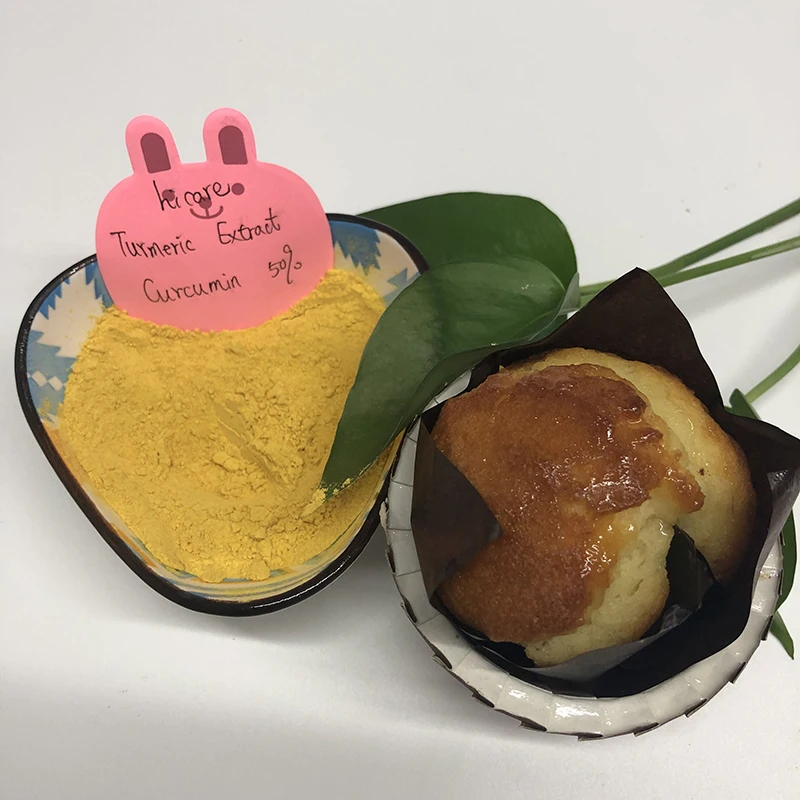 Wholesale top Grade hot selling 95% Curcuma Health food turmeric extract