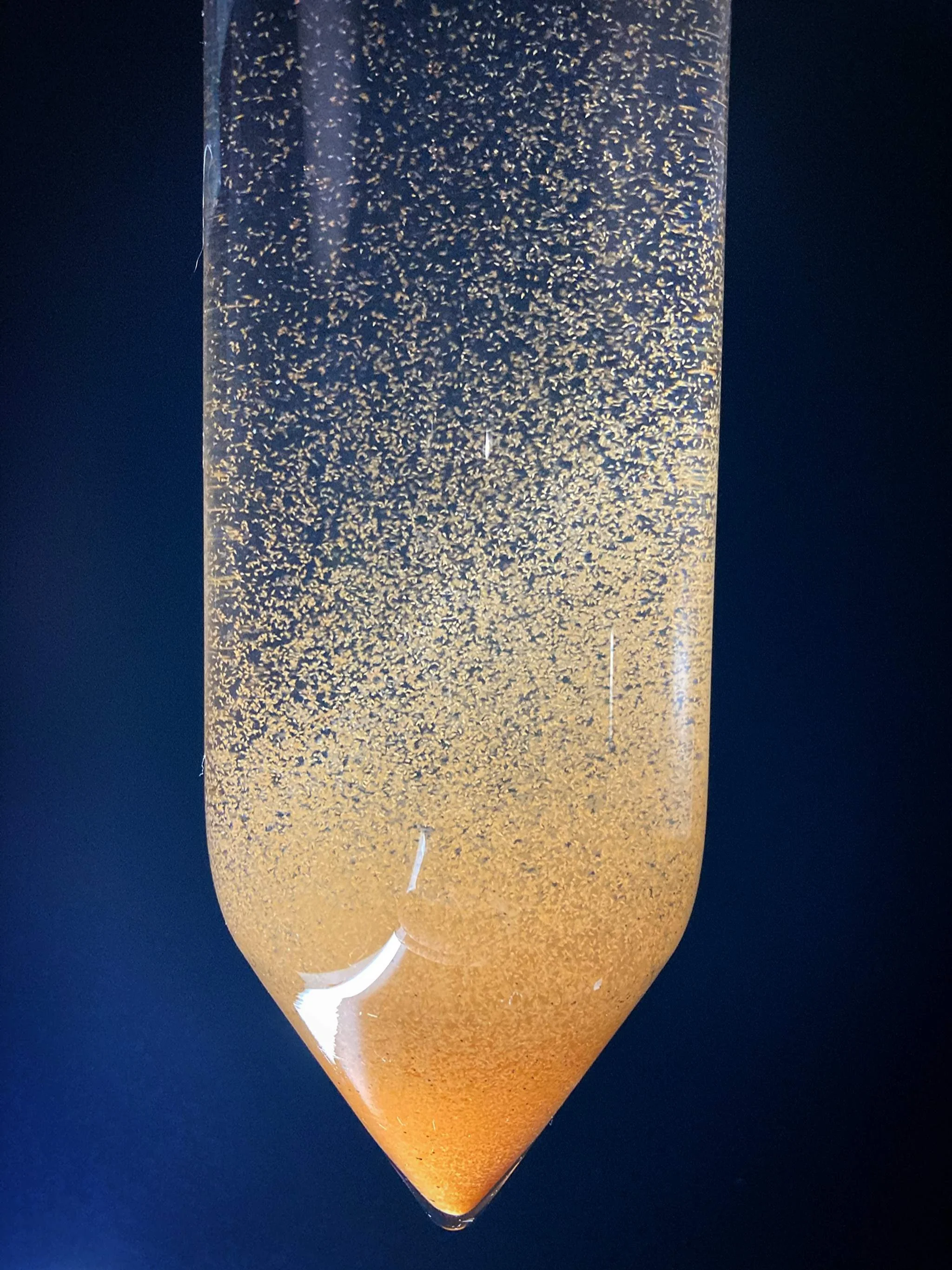 Binzhou Artemia cysts BBS eggs for aqua feed with high protein