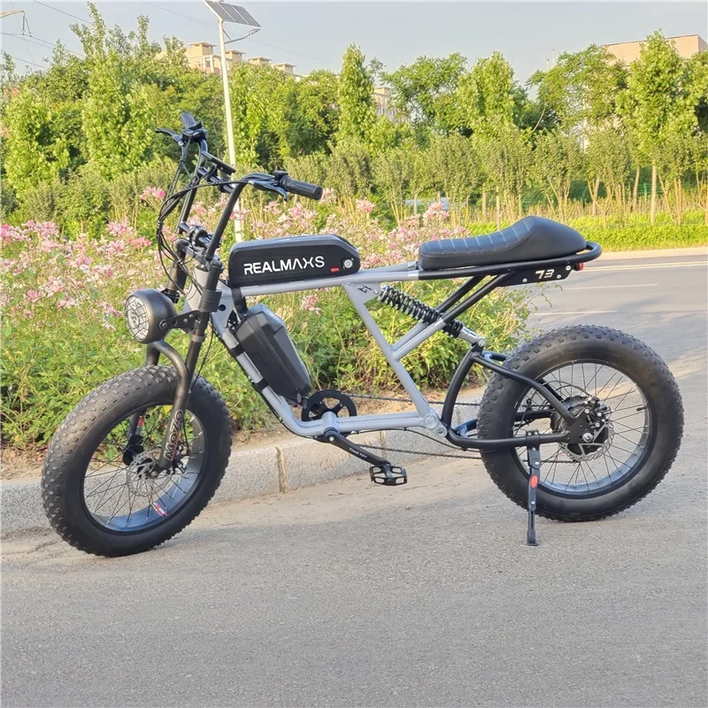2022 Powerful REALMAXS 48V 1000W Mid Drive Ebike 20AH Full Suspension Electric Bike 20Inch Fat Tire Mountain Ebike
