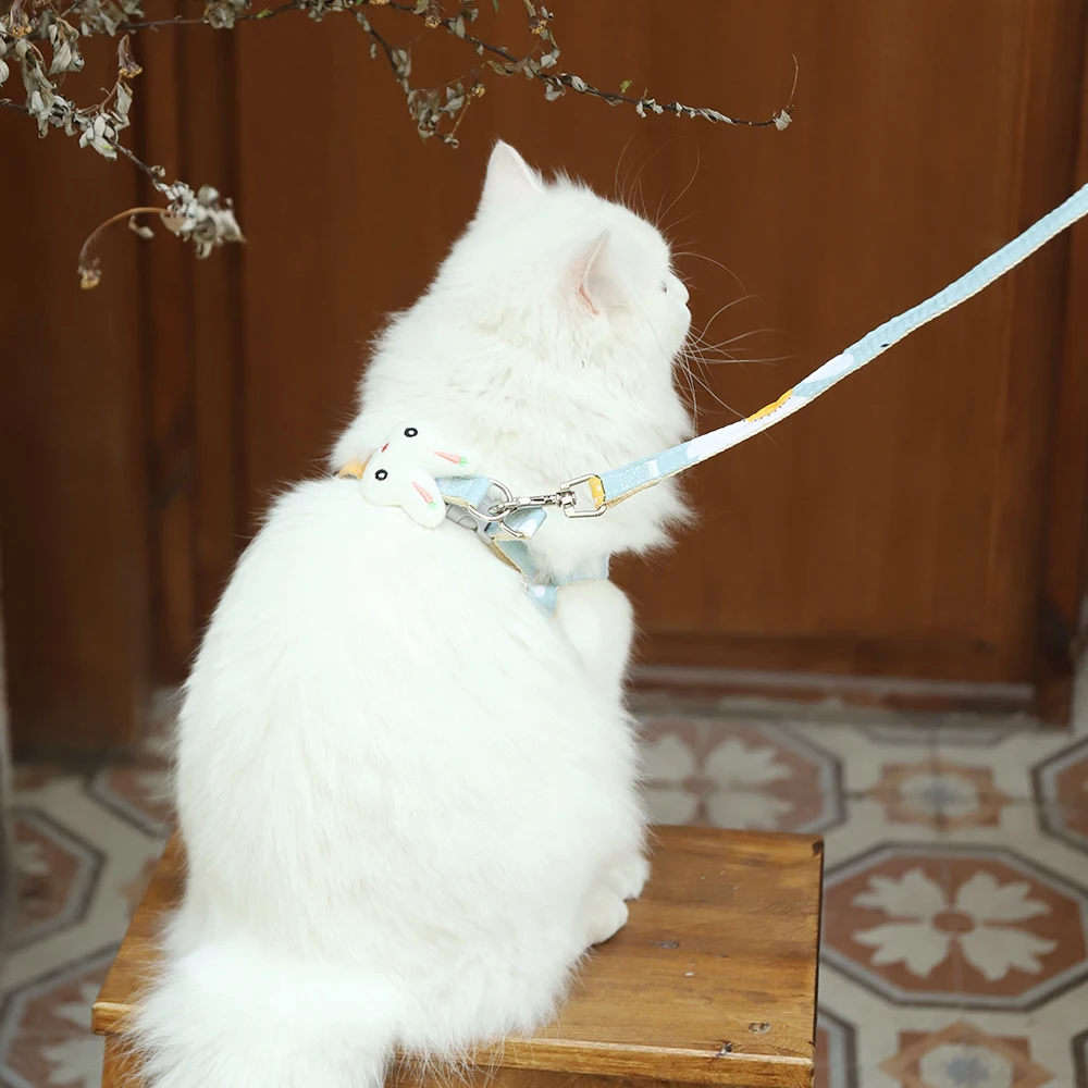 Factory Best Price Hoopet Comfortable Fit Escape-proof Small Dog Cat Chest Strap Harness And Leash Set