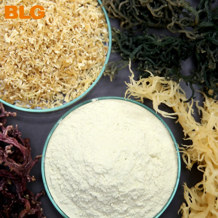 Hot Selling Refined Semi Refined Food Grade Thickeners Kappa Lambda Iota Carrageenan Powder