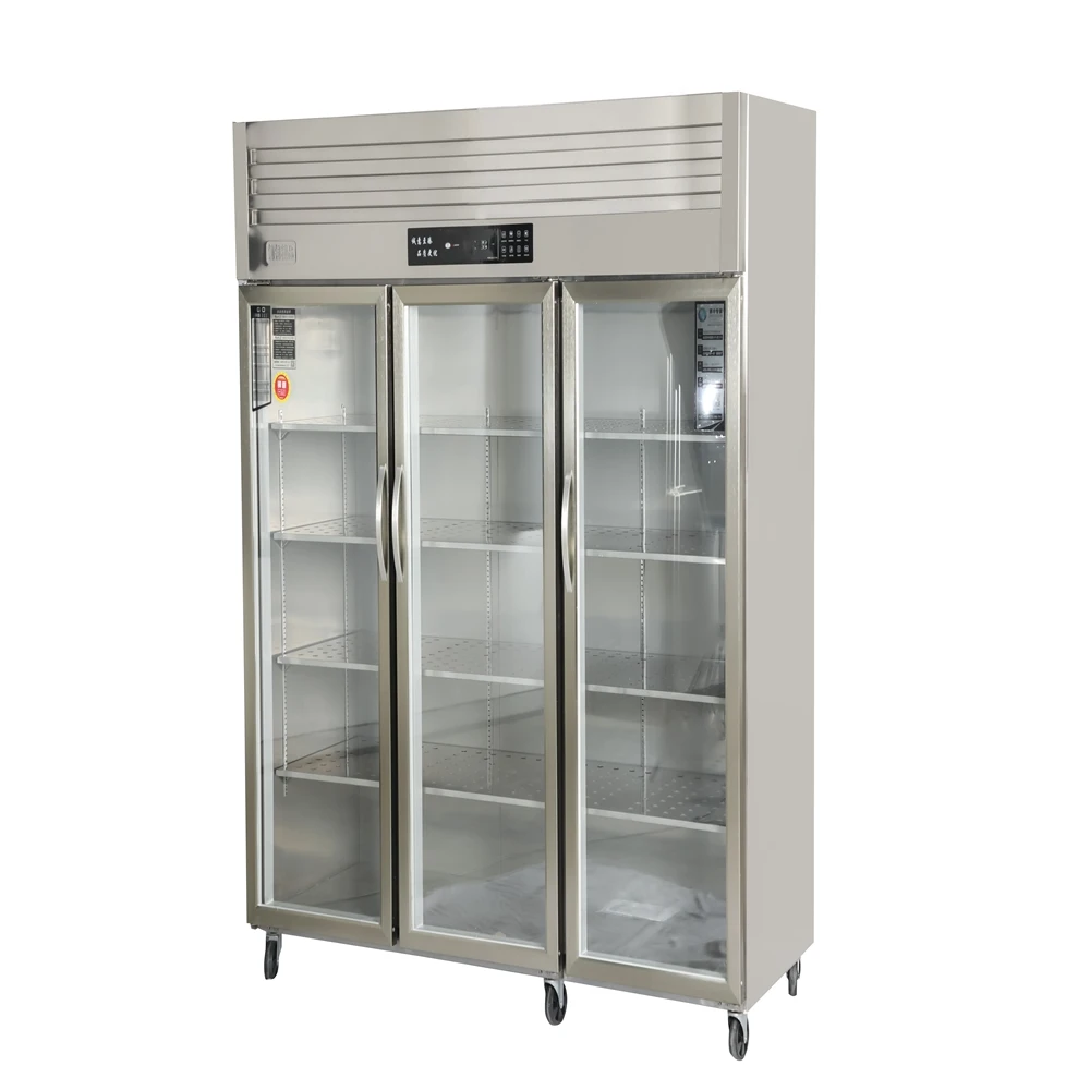 Fashionable Hot Pick Frost-Free Commercial Use Three Doors Mobile Refrigerated Freezer