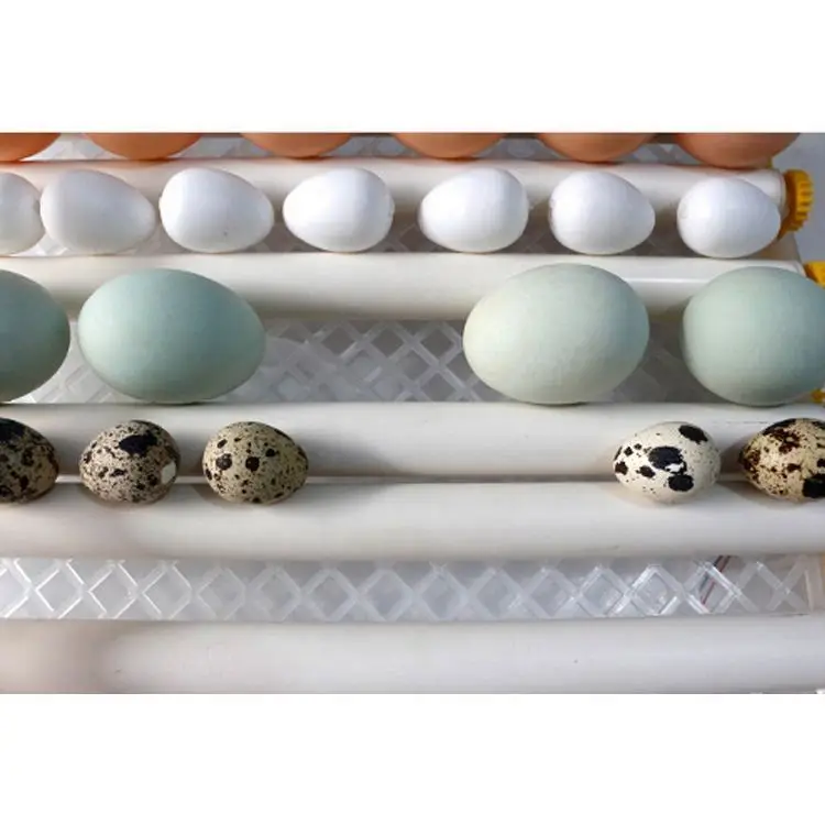 new hot selling products fish egg incubator 200 chicken egg hatching machine for sell