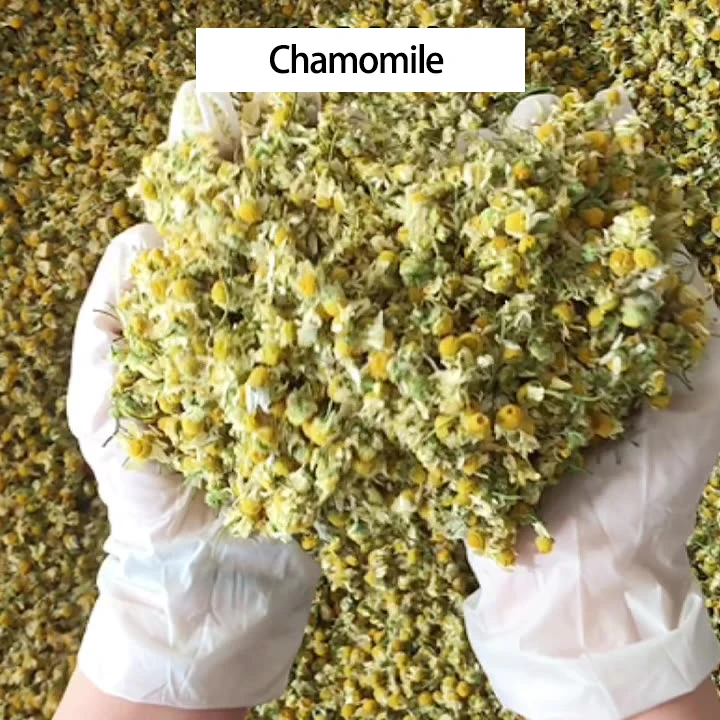Quality Bulk Dried Chamomile Flower Herbal Tea Chamomile Flower Tea